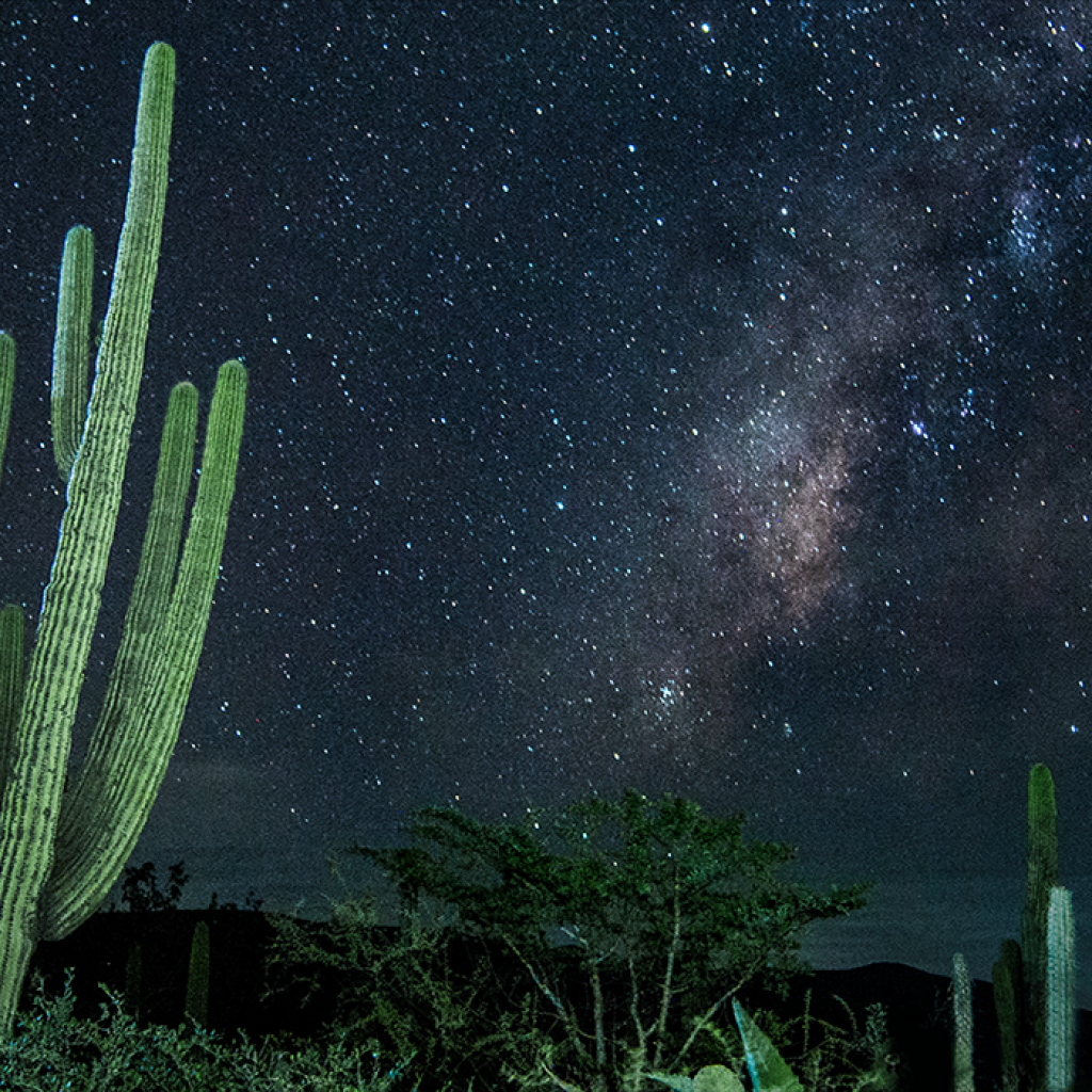 XVI Congreso Nacional de Investigación Educativa